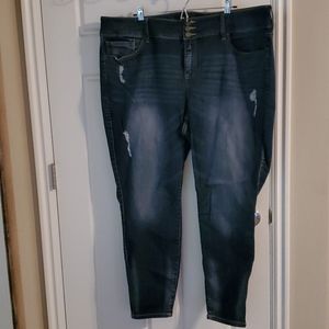 Torrid jeggings plus size 24